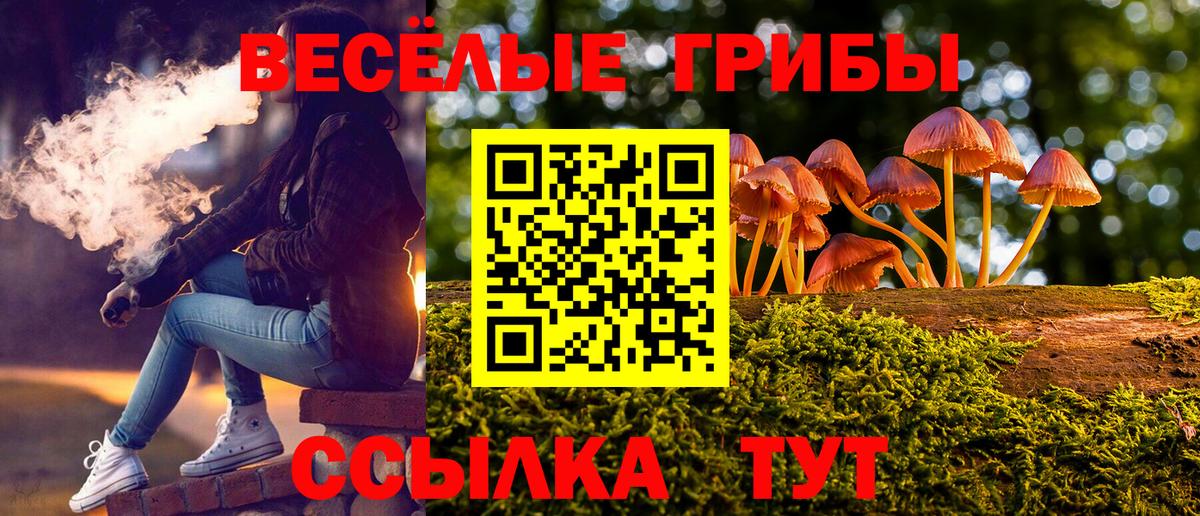 Кувандык  купить наркотики цена  Вход с VPN  Галлюциногенные грибы мицелий 